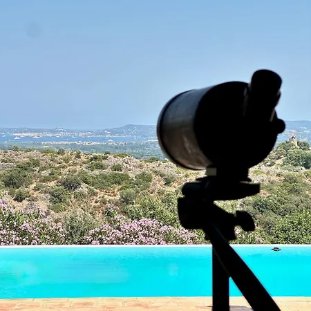 Mon Olivier - With Stunning Sea View Grimaud