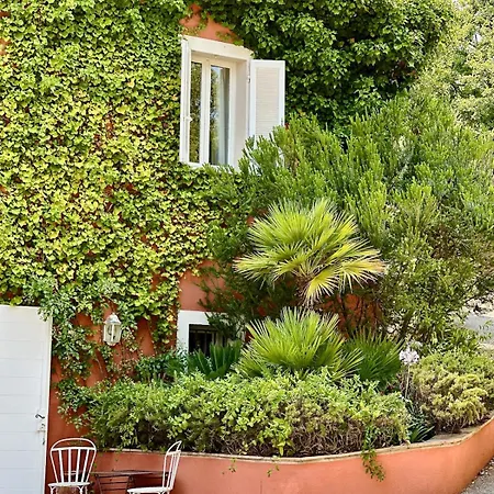 Vila Mon Olivier - With Stunning Sea View Grimaud